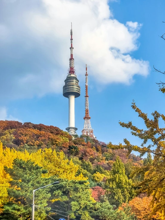 a very tall tower in the middle of the forest