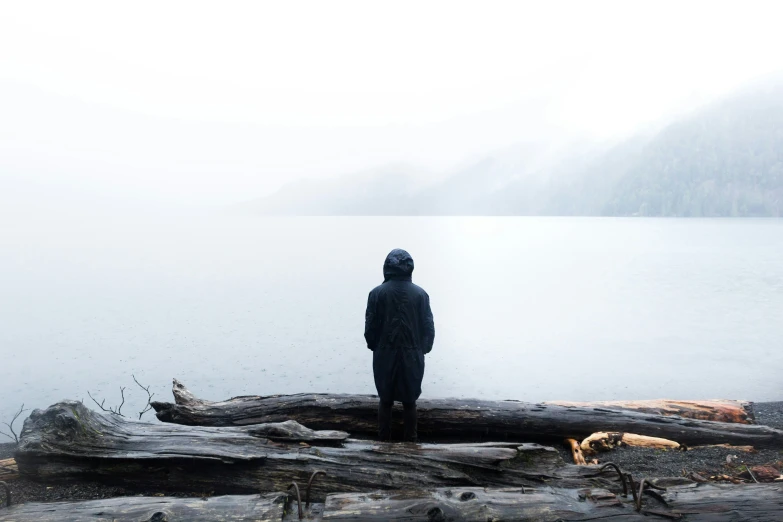 a man is standing on a log looking at the lake