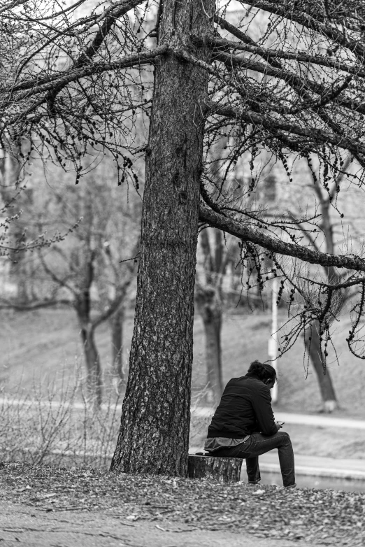 a person is sitting on a park bench by the tree