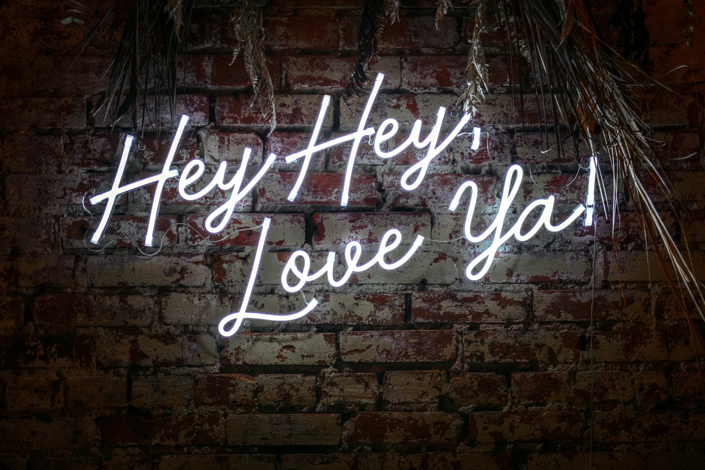 a neon sign saying hey hey love you on a wall
