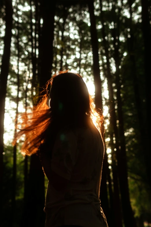 the sun shines through the trees while a woman walks along
