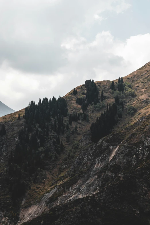 the back side of a grassy hill that is covered in trees