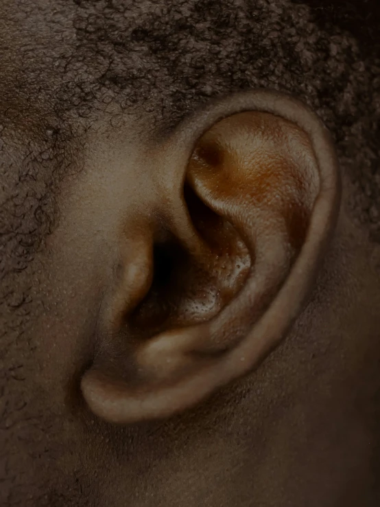 a closeup of the outer ear of a human being