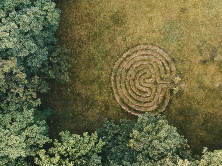 a circular structure carved out of ground in the middle of a forest