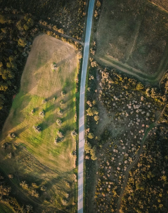 an aerial view of some trees and a road