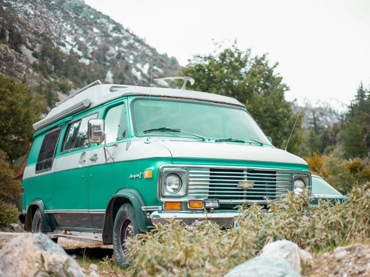 a bus is parked with trees and shrubs