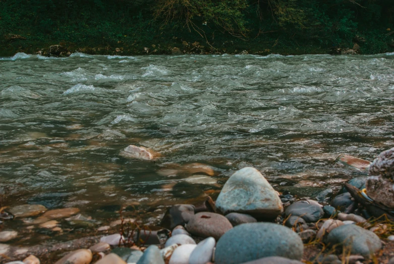 a river with stones and some trees in the background