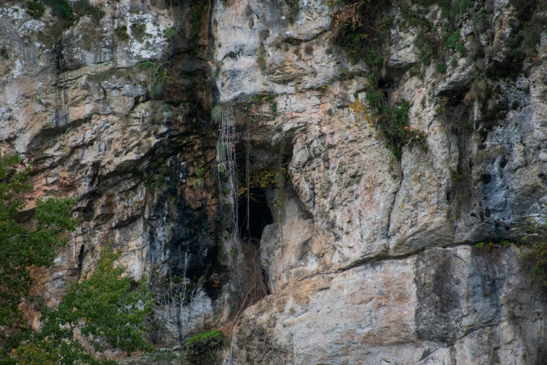 a rock cliff with a tunnel that has some plant life growing in it