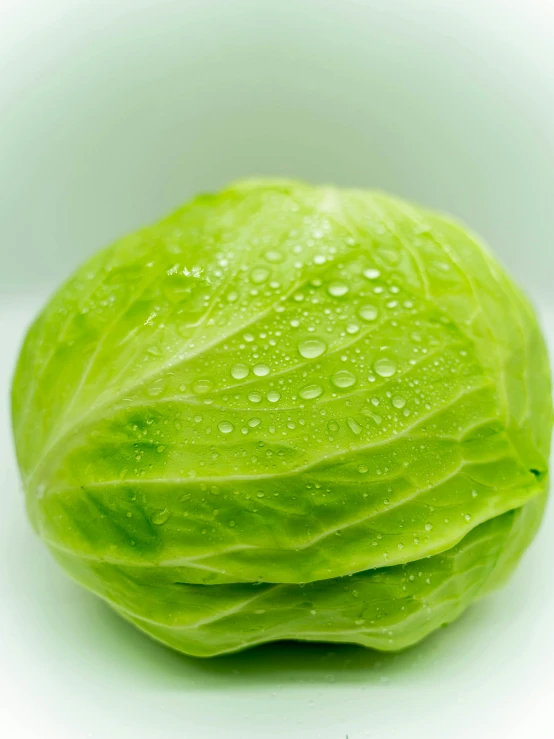 the cabbage has been cut in half with a wet cloth