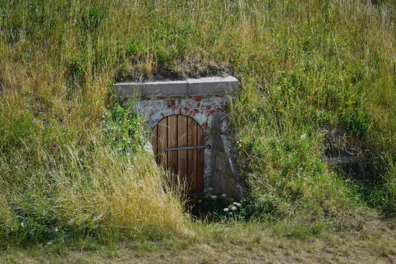 a small door in the middle of a field