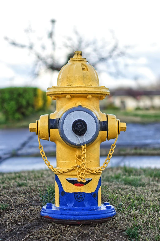 a yellow and blue fire hydrant on the side of a road