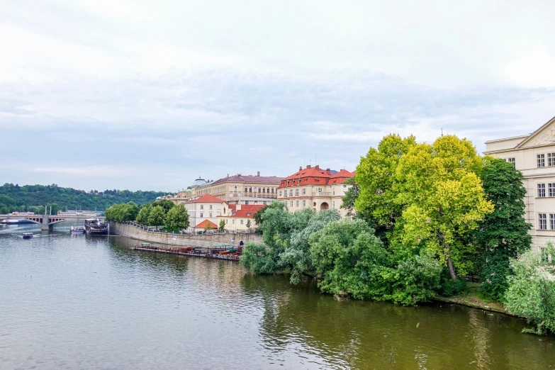 cityscape with many trees and buildings near water