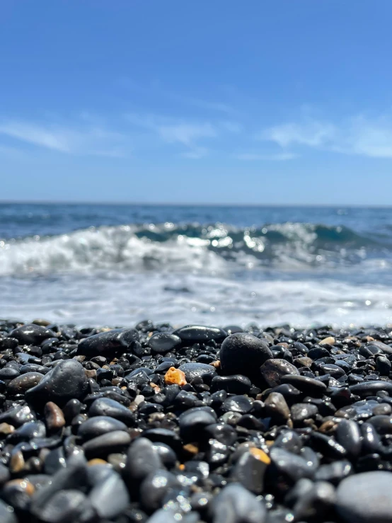 small rocks are growing on a beach near the ocean