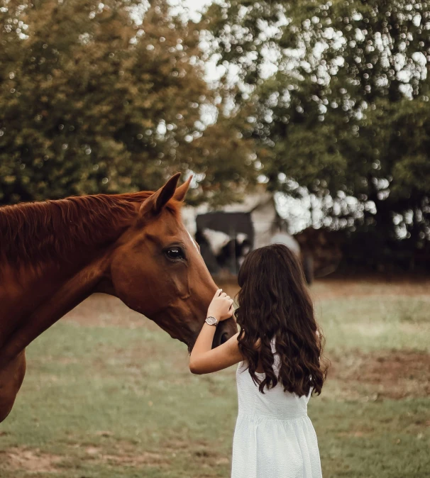 a woman is petting a horse and the head