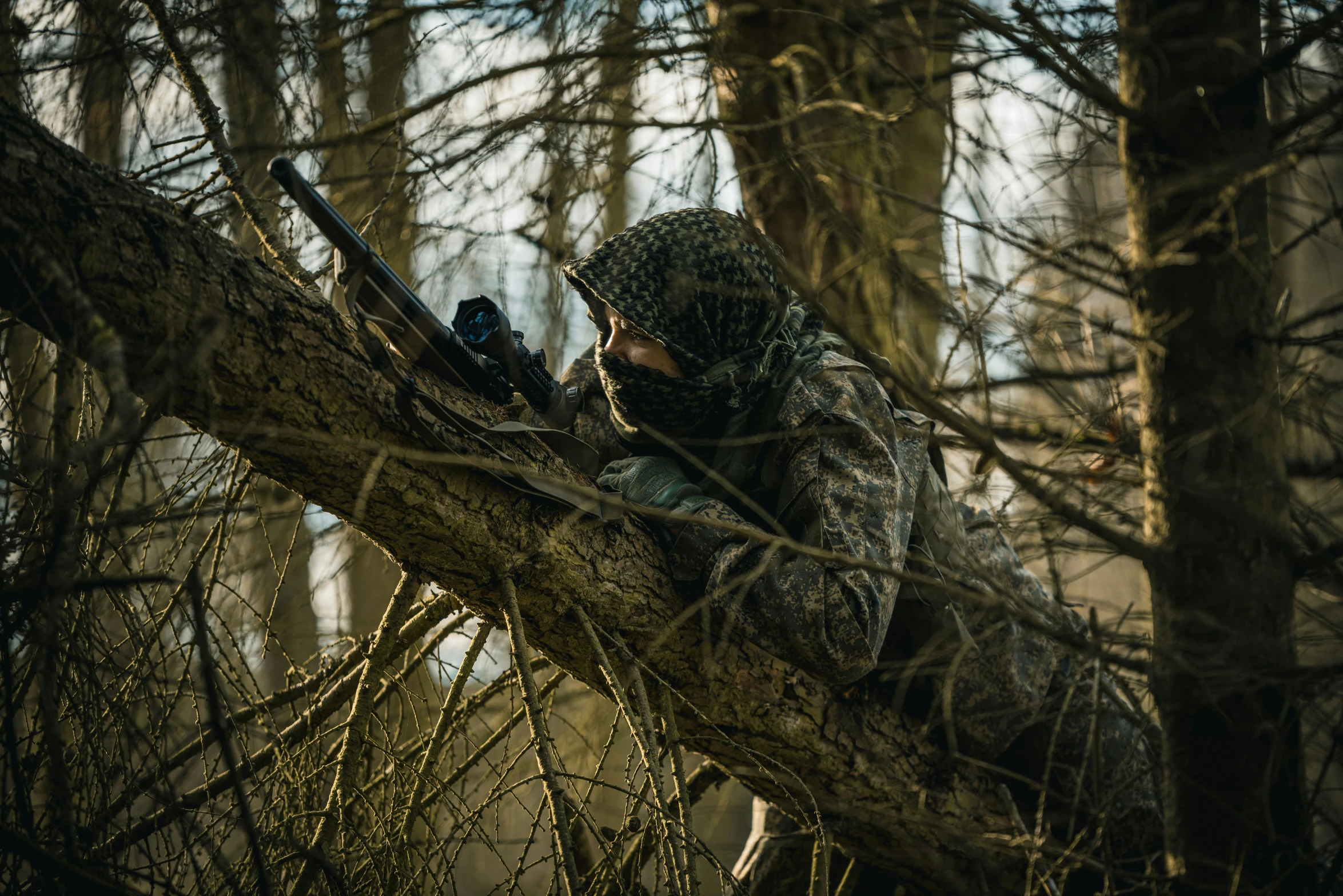 a man on a tree with his rifle in his hand