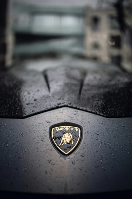 a close up of a black sports car badge on a wet surface