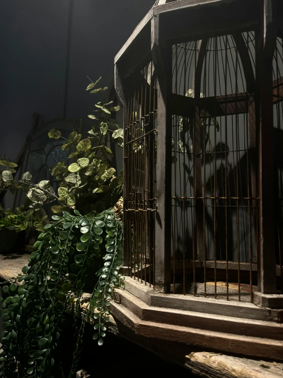 a po of some green plants in front of an iron fence