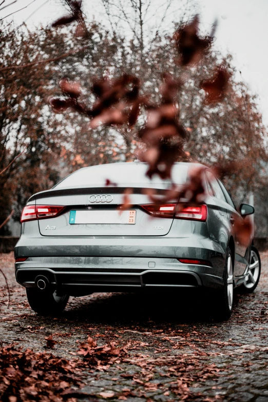 a car driving through an alley next to a tree with leaves