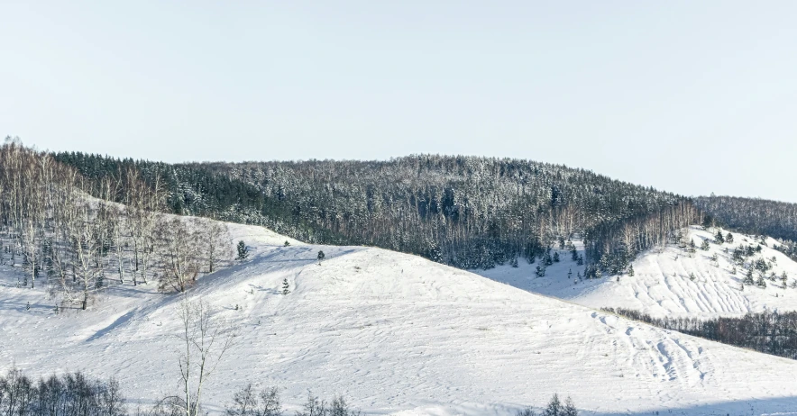 a view of some mountains and trees covered in snow