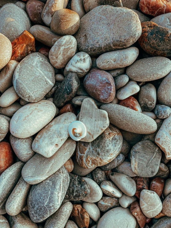 some very cute rocks and sand by the water