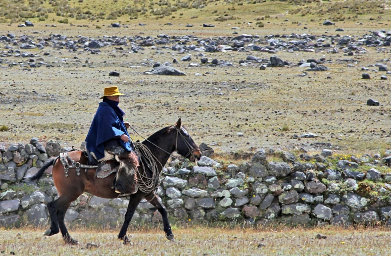 a person wearing a yellow hat rides a horse