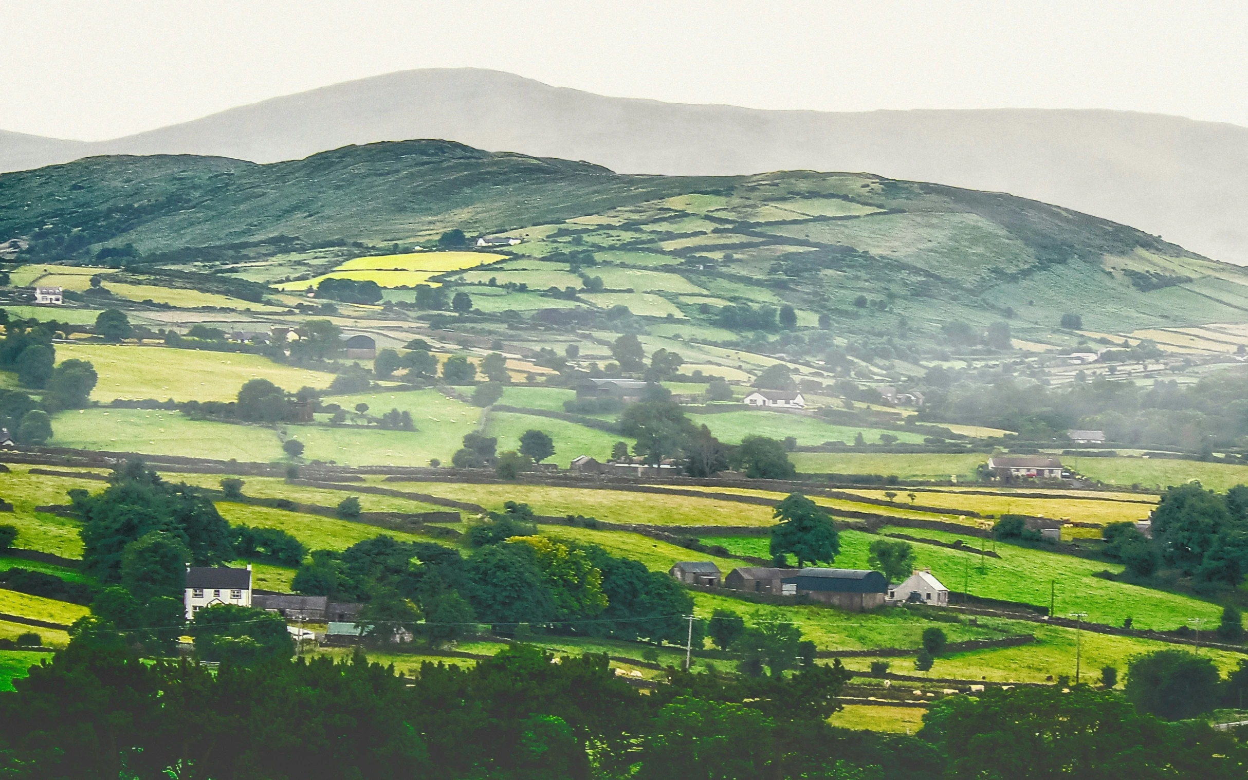 a lush green countryside surrounded by mountains