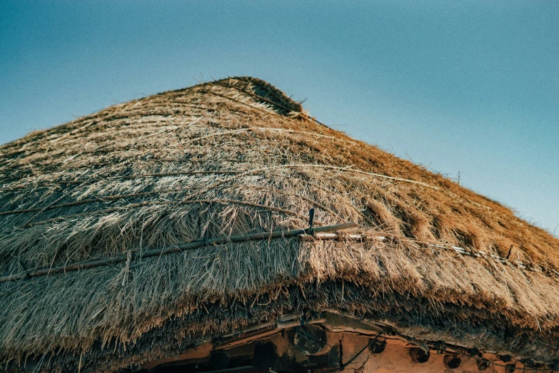 the roof is made from woven reeds