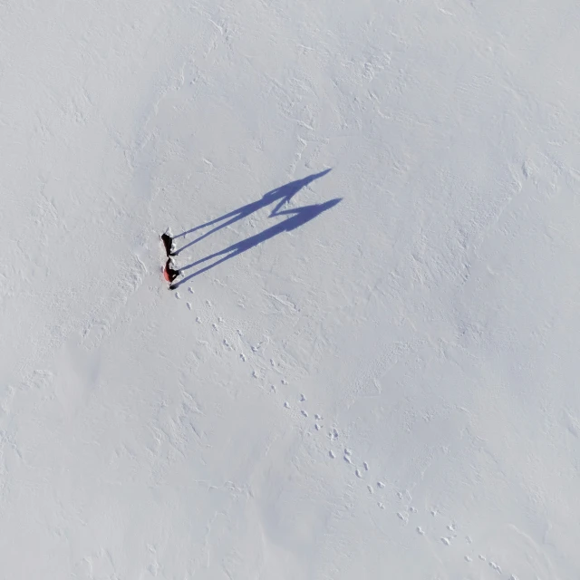two people skiing in the snow and a shadow