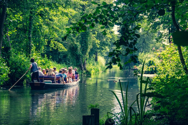 a boat full of people paddles down a river