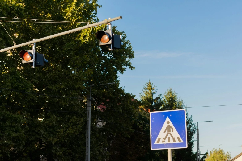 traffic signal, street lights, and tree on the corner