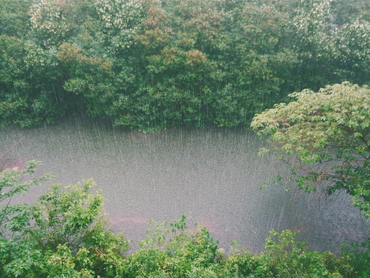 an over head view of the outdoors of a body of water with trees