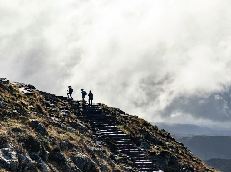 a group of people on a grassy hill on top of a stairway