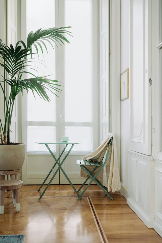 a houseplant sits in the corner of an open living room