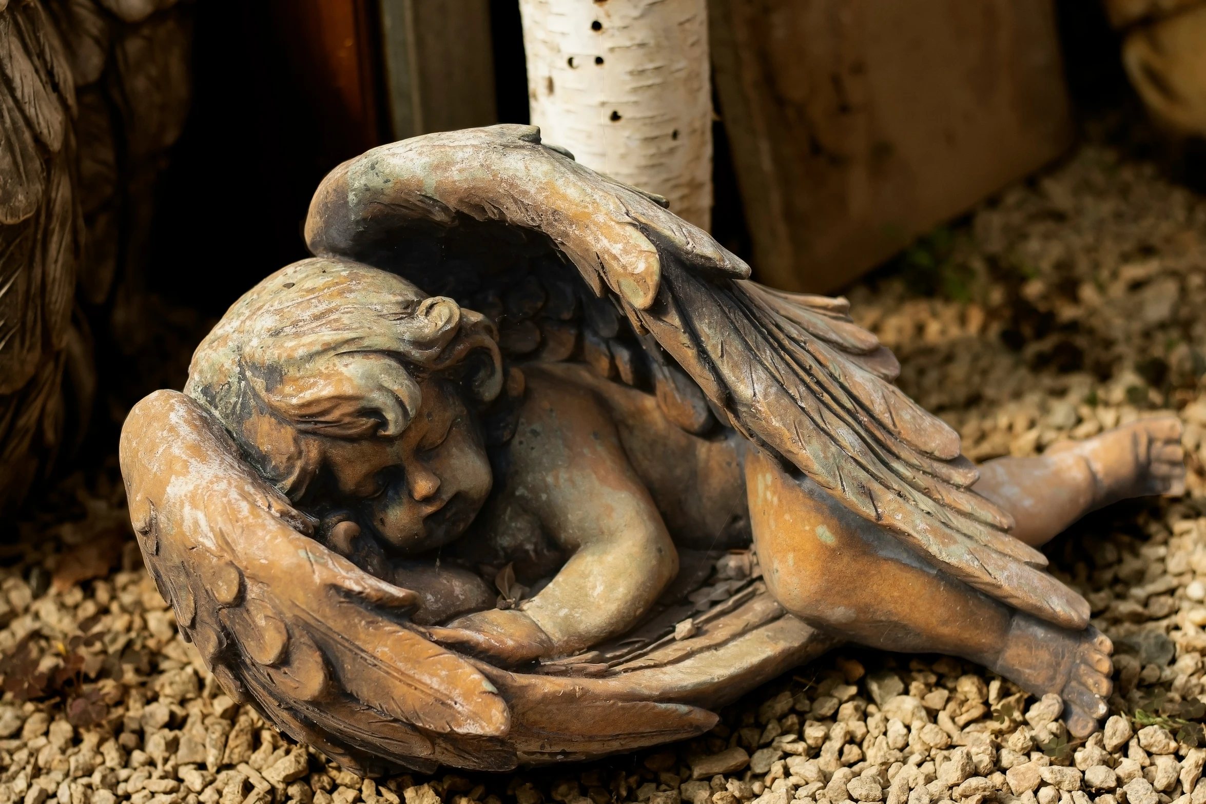 small statue with wings sitting on gravel next to a white birch