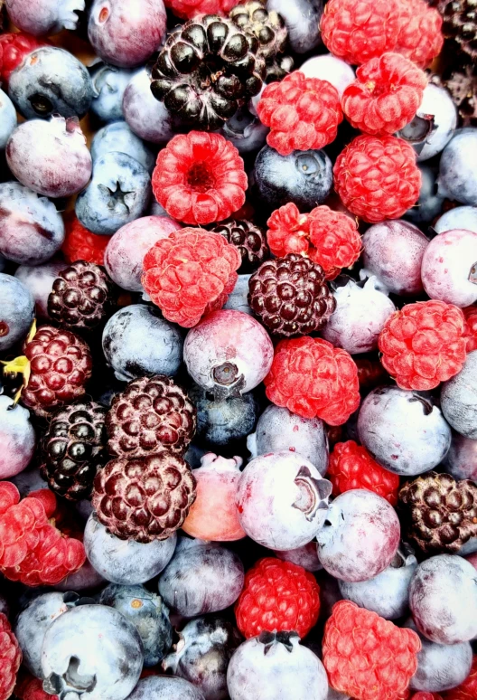 blueberries, raspberries, and other berries are mixed together