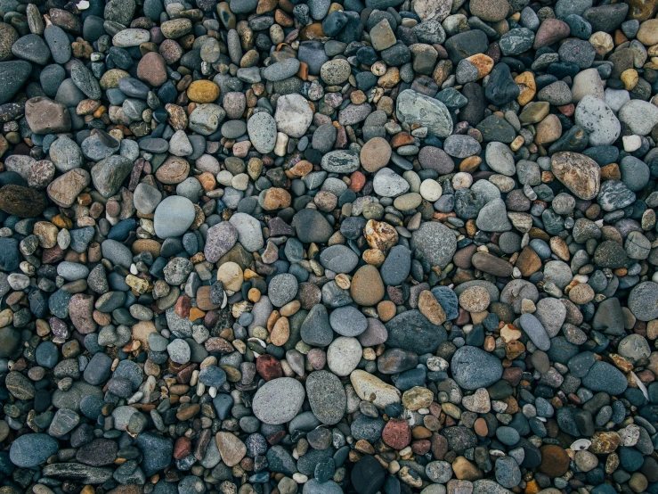 rocks and pebbles cover an area near the ground