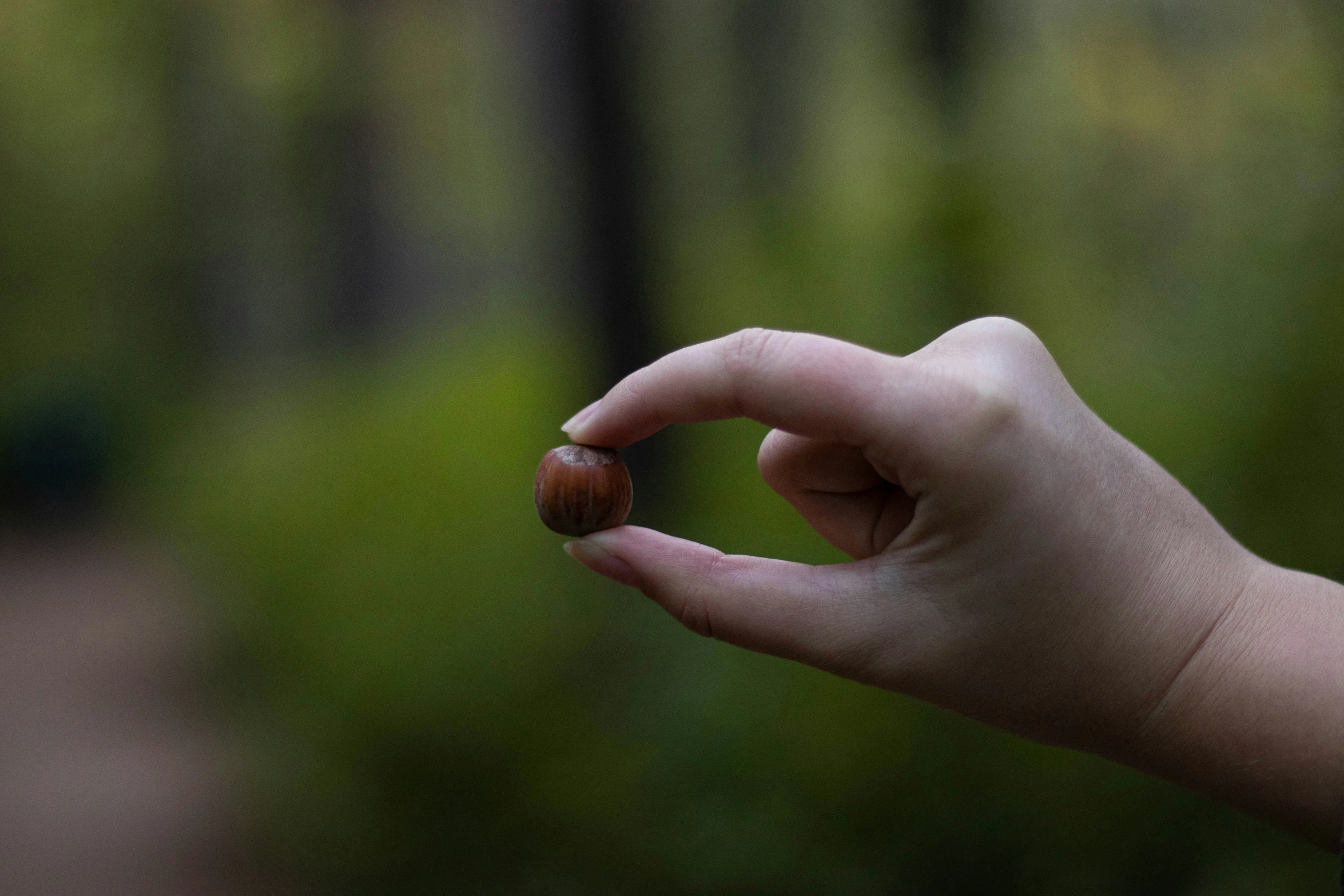 a hand holding an orange in front of a green background