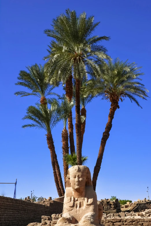 palm trees, a sculpture and stone wall in a courtyard