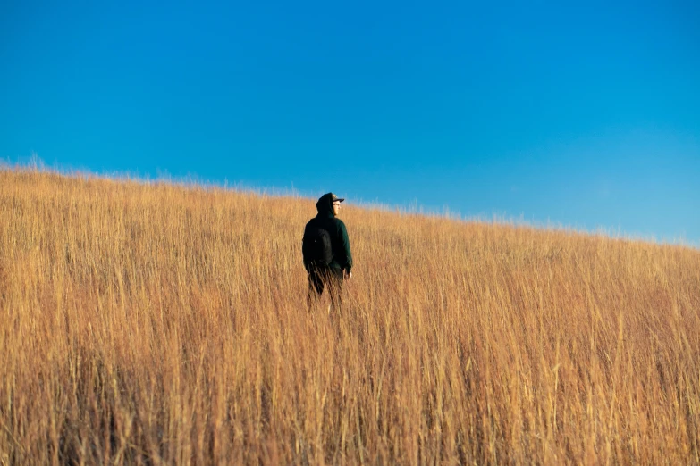 a person in a black jacket stands in tall grass on a clear day