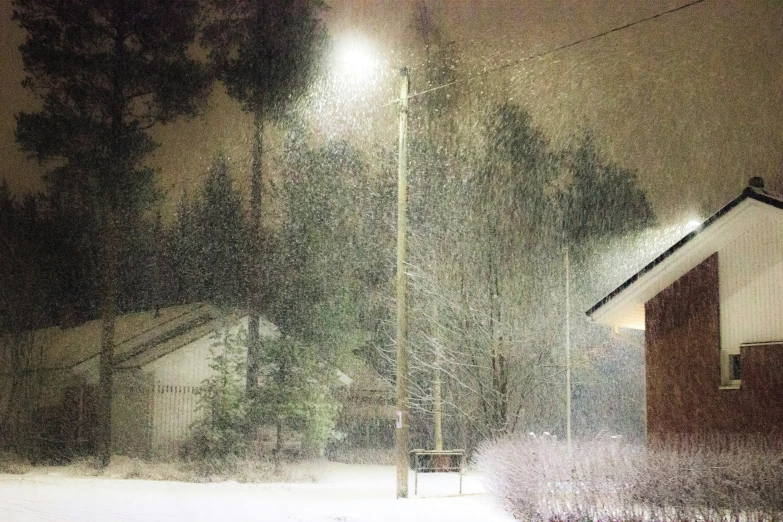 a street light surrounded by trees on a snow covered day