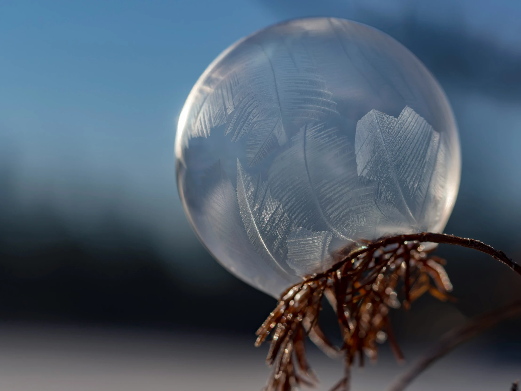 a clear bubble with small objects inside it