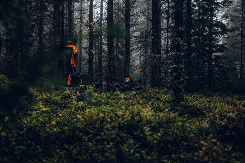 a couple of people with orange umbrellas in the woods