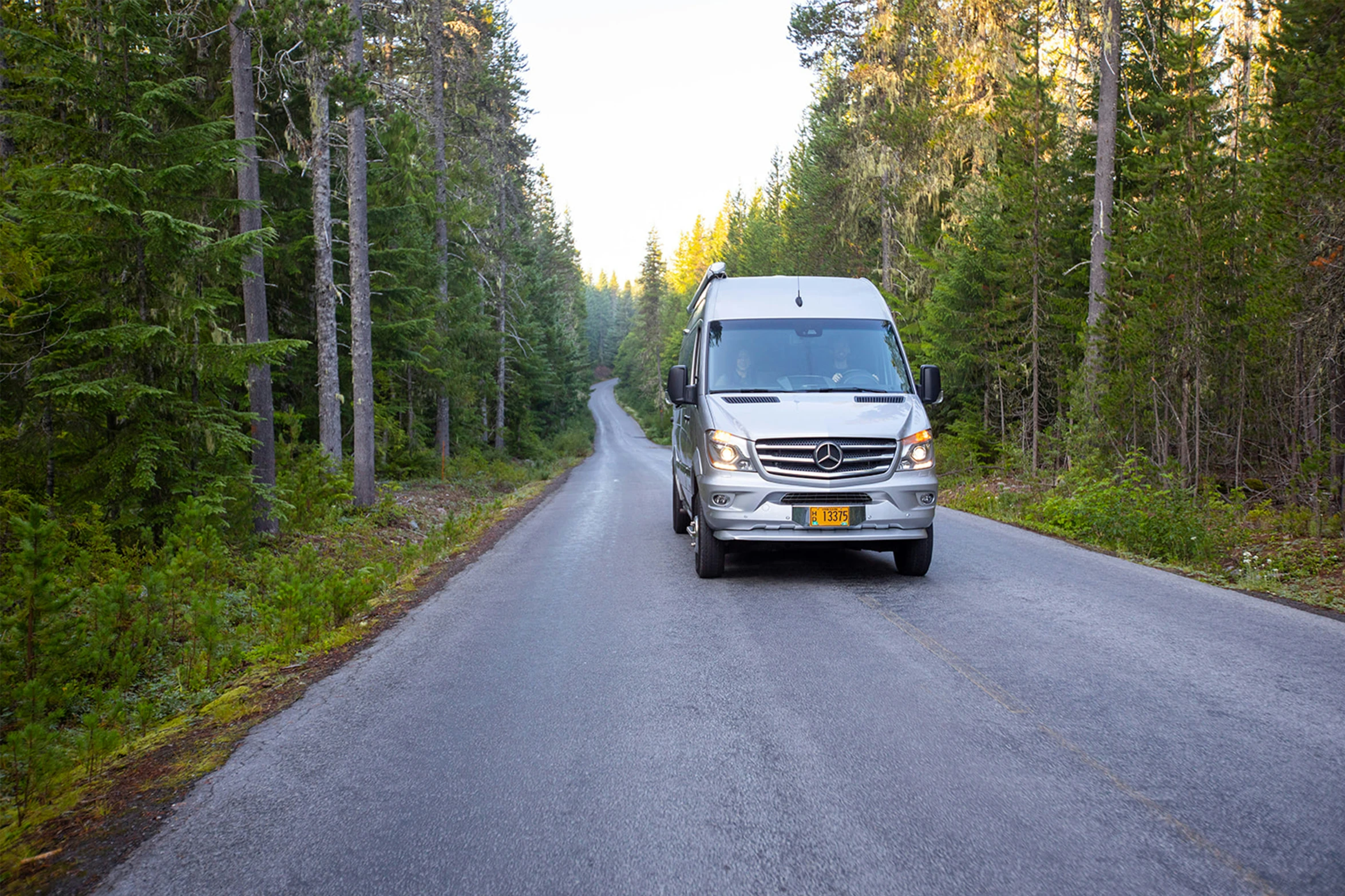 van parked on the side of the road next to trees