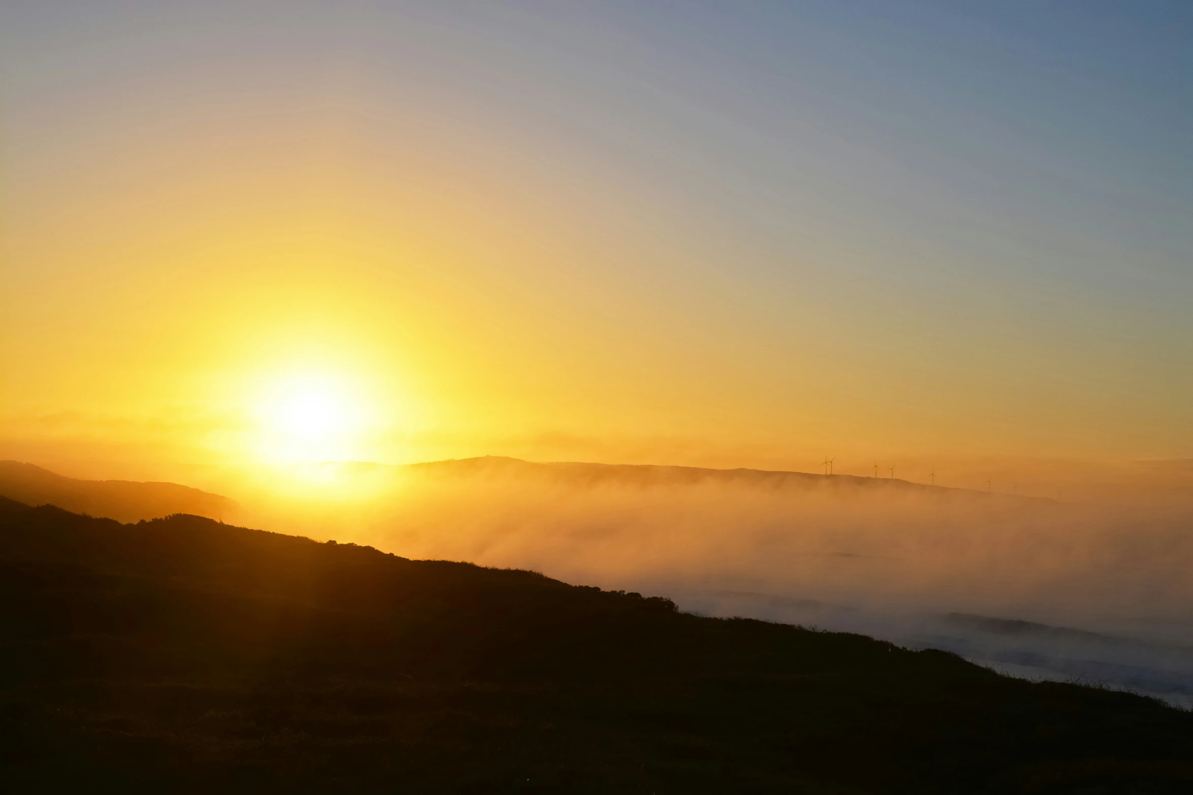 a large bird flying over a foggy hillside at sunset