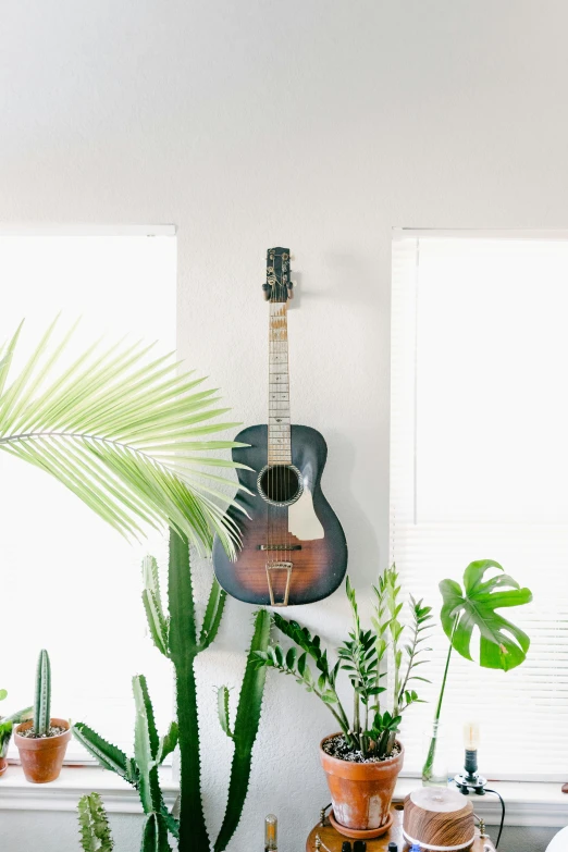 a guitar on a wall above potted plants and other home decor