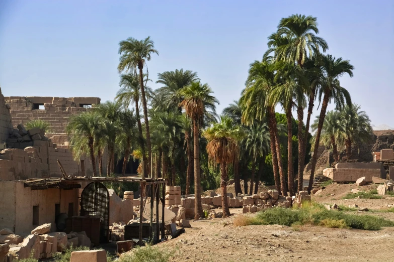 trees and a building in the desert outside