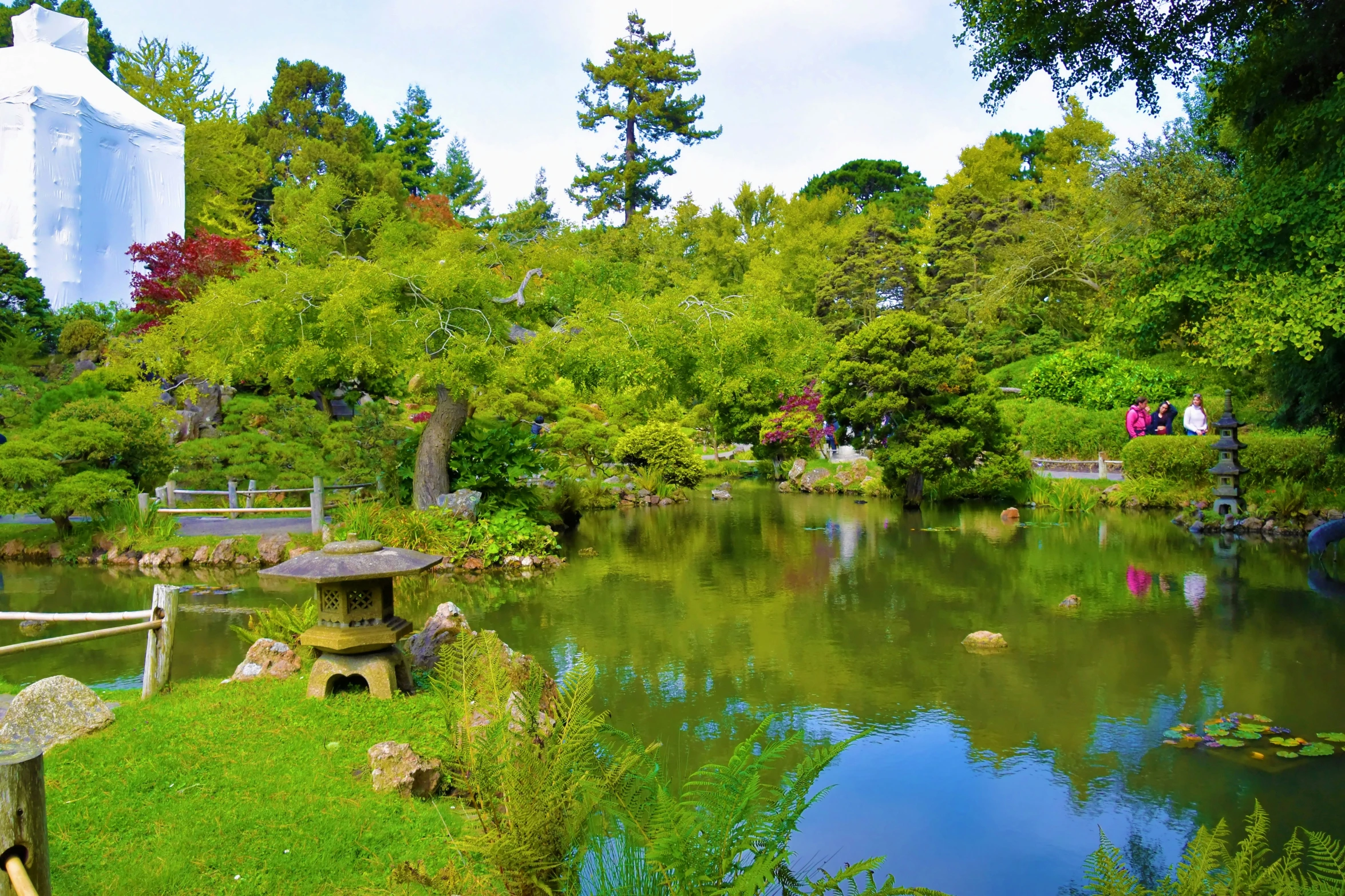 a pond that has benches in the water