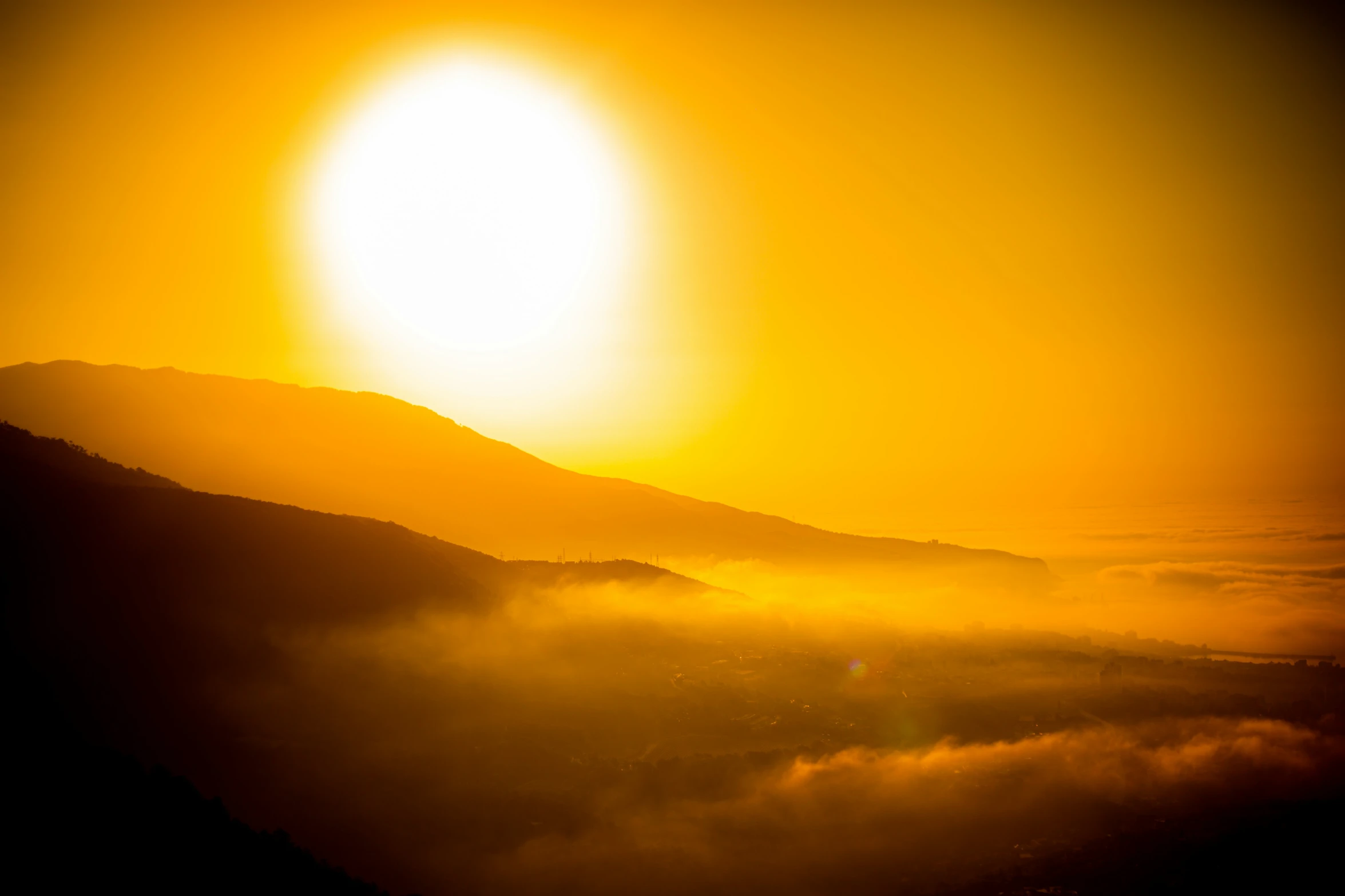 a bird is flying high in the sky at sunrise