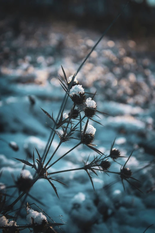 some grass is sitting in front of a water stream