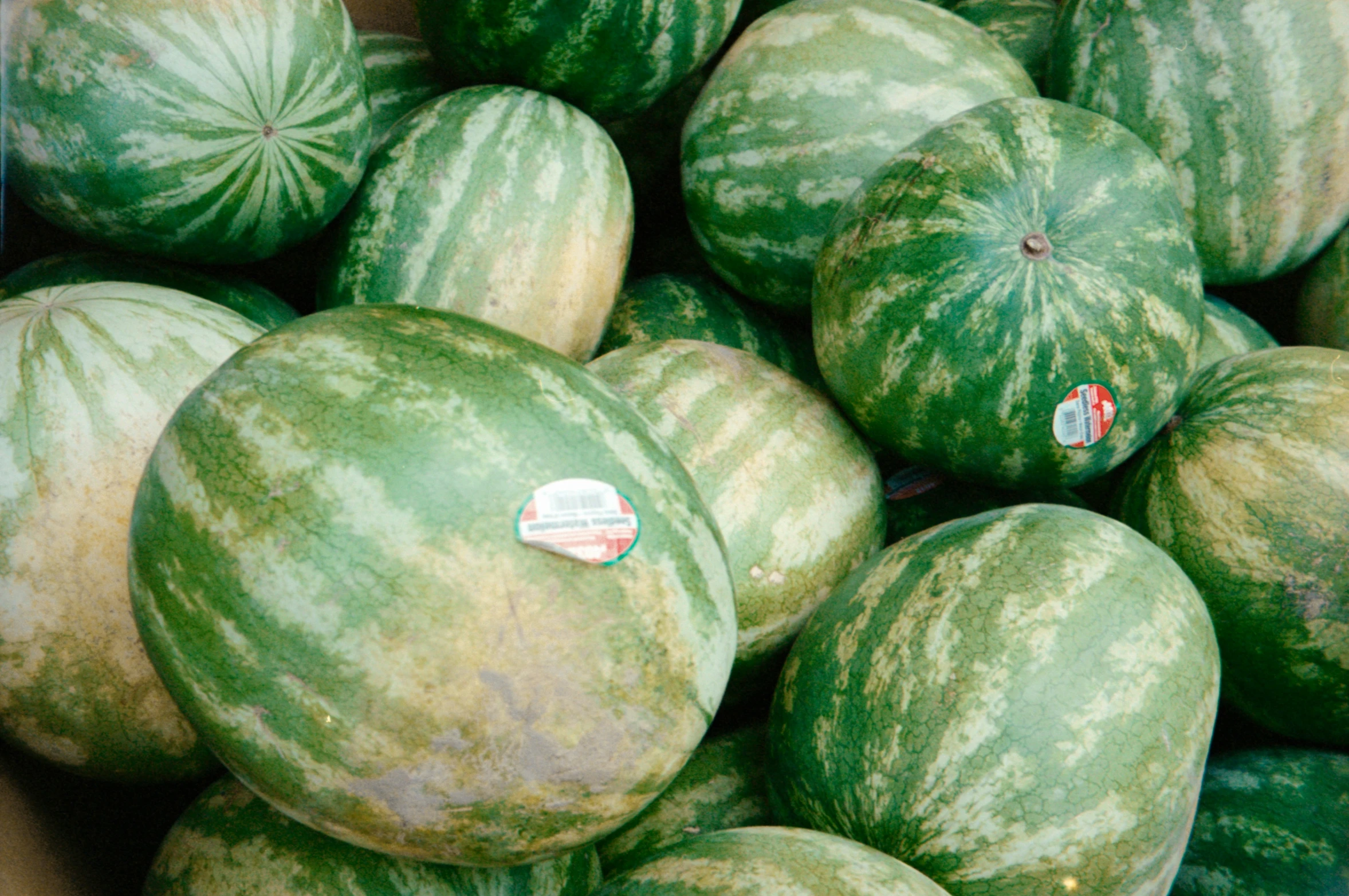 a crate of watermelons piled next to each other